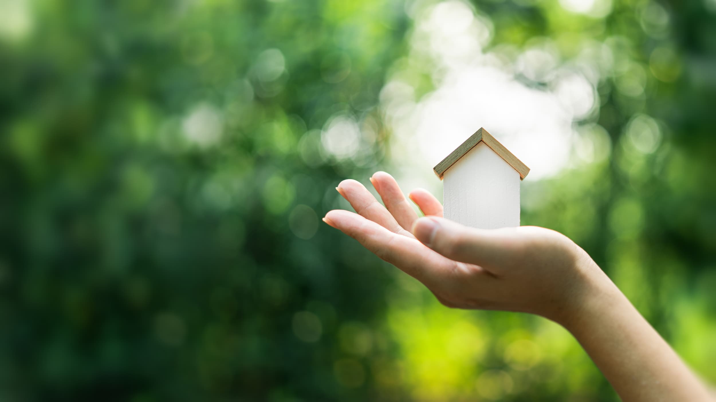Property Investment